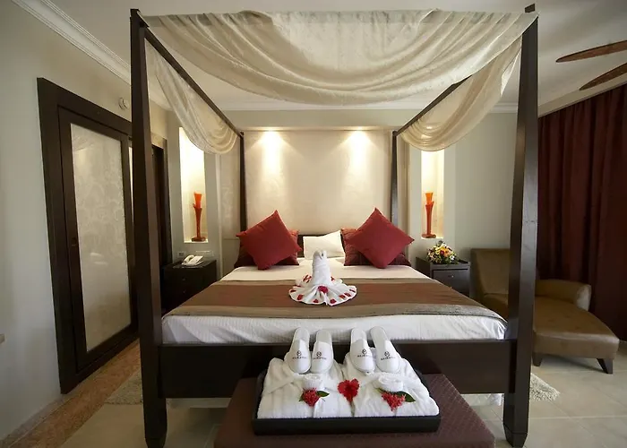 Suite de 1 Dormitorio